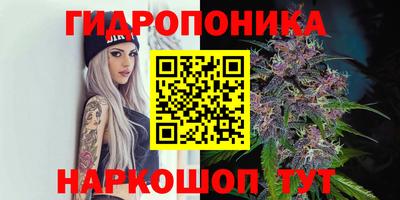 МДПВ Ярославль