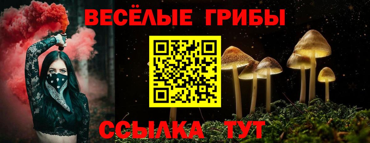 Щёлково  где можно купить наркотик  Вход с VPN  Псилоцибиновые грибы Psilocybine cubensis 