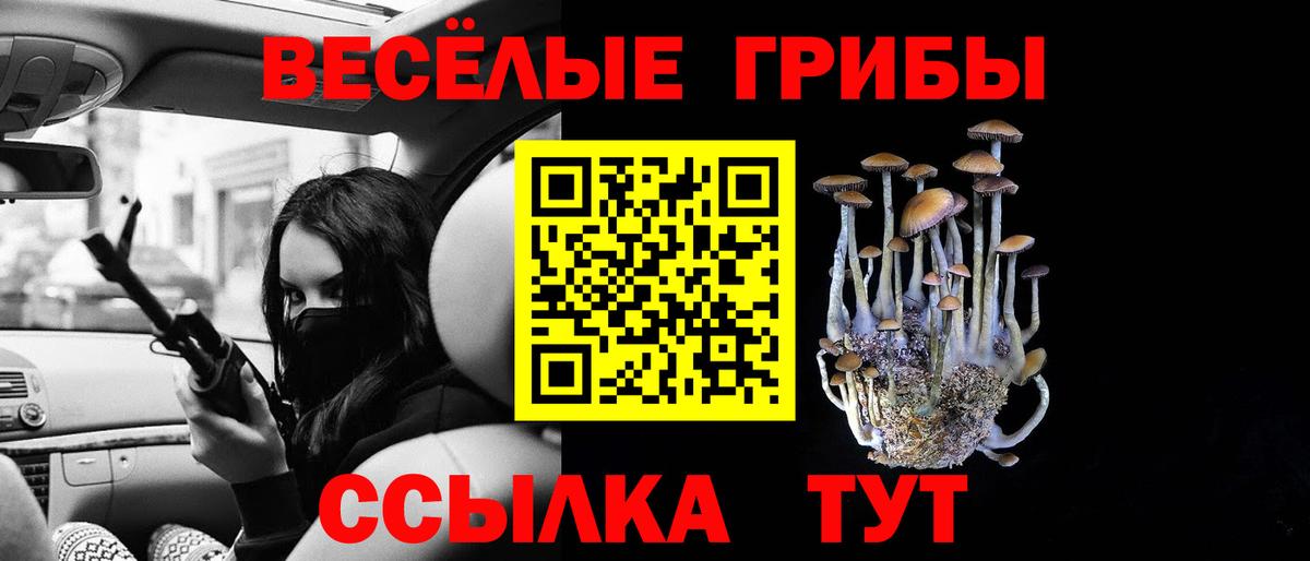 Галлюциногенные грибы MAGIC MUSHROOMS Щёлково